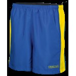 ARROWS Shorts blau/gelb 5XS-5XL