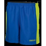 ARROWS Shorts  blau/neongrün 5XS-5XL