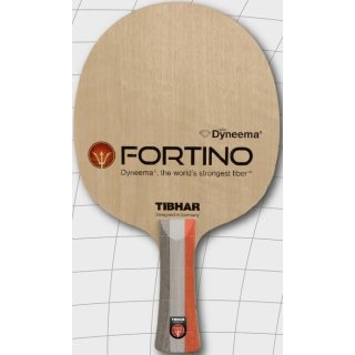 FORTINO PERFORMANCE